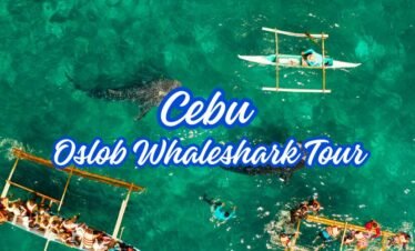 CEBU OSLOB WHALESHARK TOUR