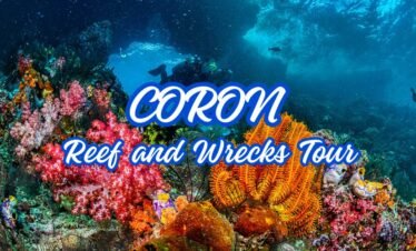 CORON – REEF & WRECKS WITH LUNCH