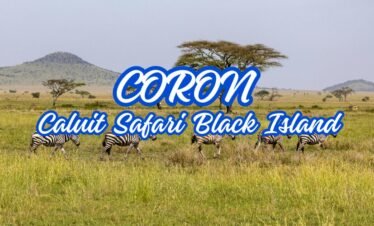 CORON – CALAUIT SAFARI (F1) WITH LUNCH