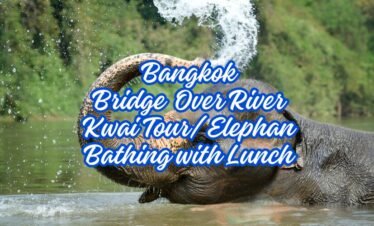 BANGKOK Bridge over River Kwai tour/Elephant Bathing with Lunch